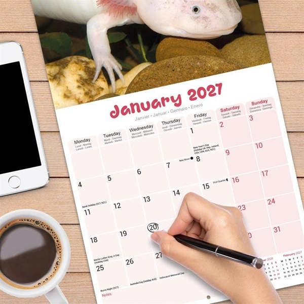 Axolotls Calendar 2027, Wall Calendars, Month To View, Animals, Gift