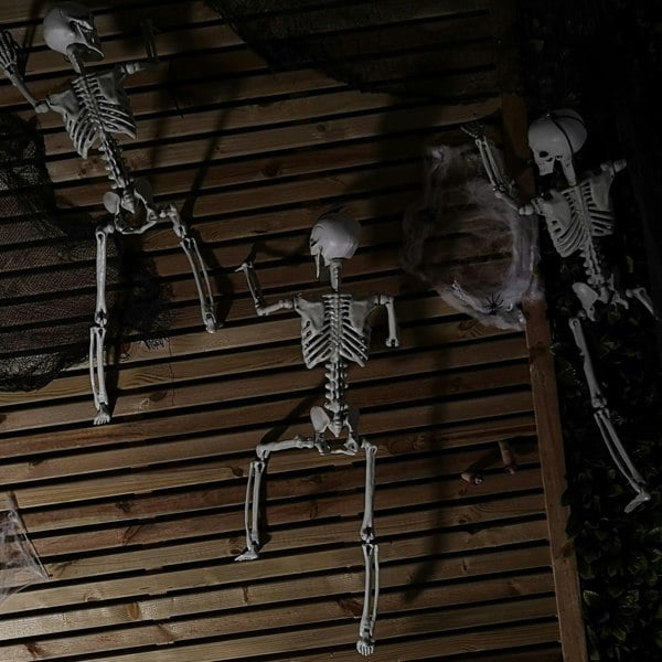 Samuel Alexander 90cm (3ft) Posable Full Body Halloween Skeleton Decoration with Movable Joints