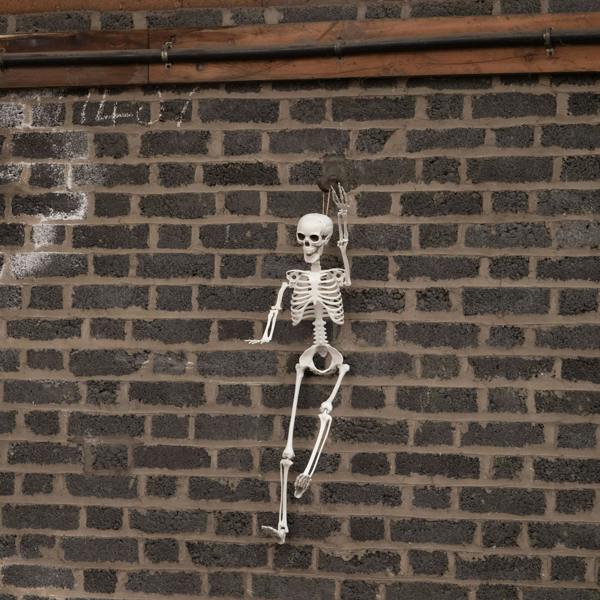 Samuel Alexander 3ft (90cm) Posable Full Body Halloween Skeleton Decoration with Movable Joints