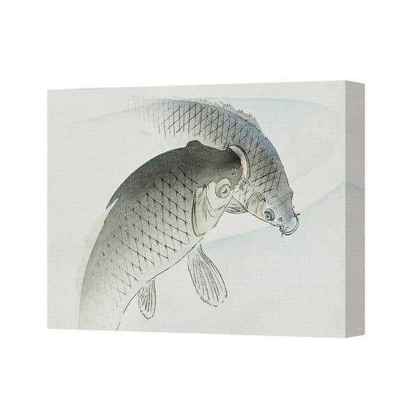 Benjamin Tate Design Canvas Wall Art Fish Illustration Print Large Carp Artwork Decor