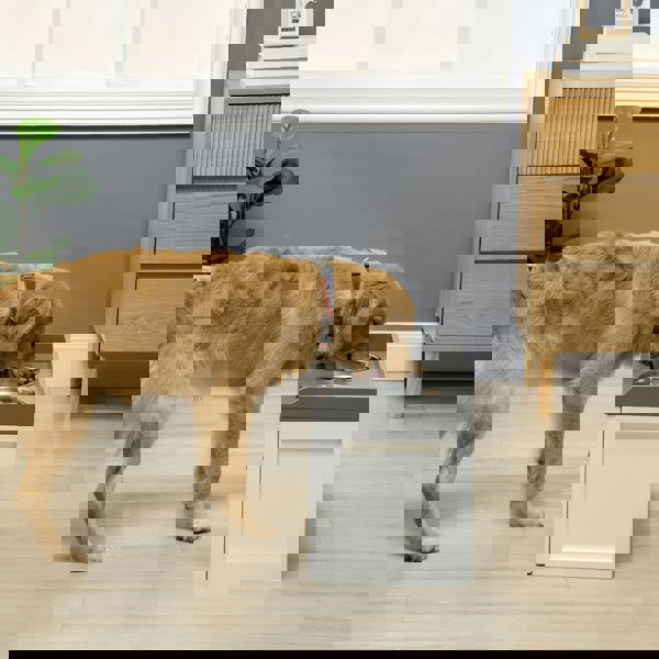 D08-041V00WT