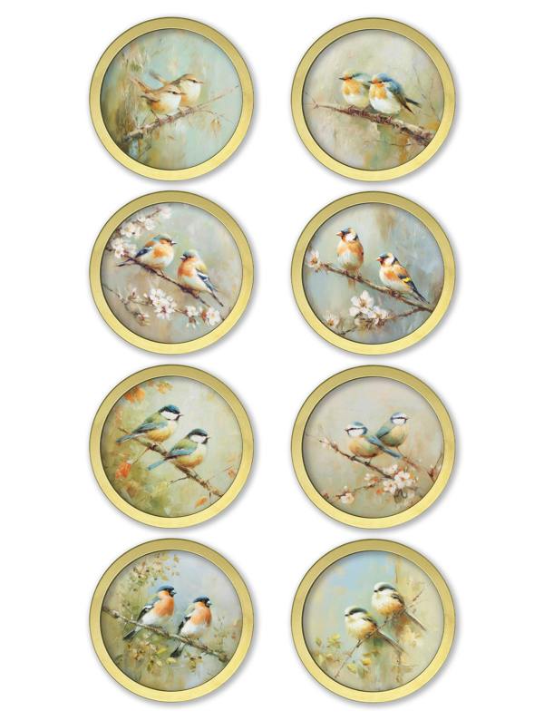 Exceptional Art Garden Birds - 30cm Gold Round Box Frame