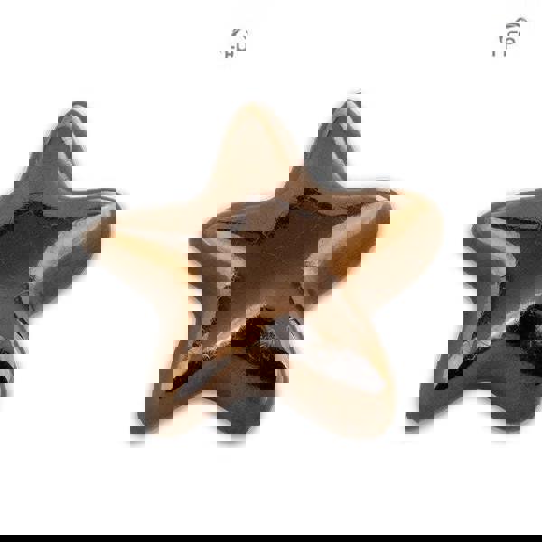 Memorials Direct Ceramic Star Keepsake