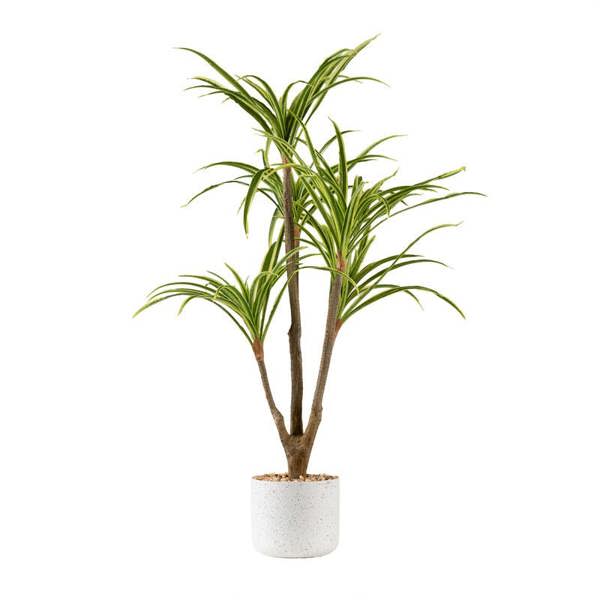 Scottish Everlastings 90cm Real Touch Yucca in White Speckled Plastic Pot