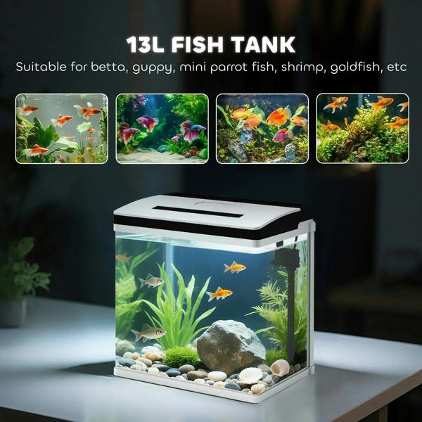Compact glass fish tank with planted setup, black hood, and visible LED-lit interior