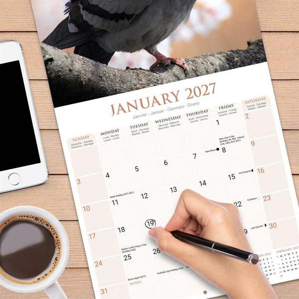 Pigeons Calendar 2027, Wall Calendars, Month To View, Animals, Gift