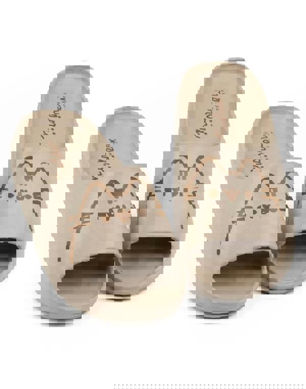 Pusheen Girls Brown Character Sliders