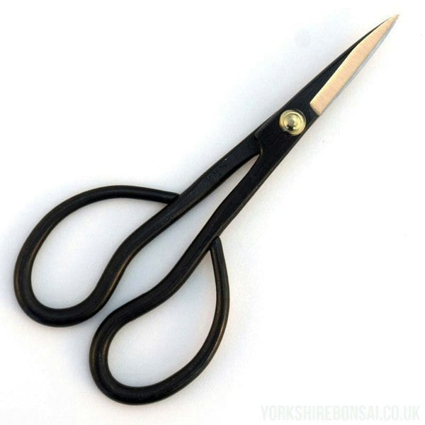 Japanese Fine Trimming Bonsai Scissors 15cm Yagimitsu - Yorkshire Bonsai