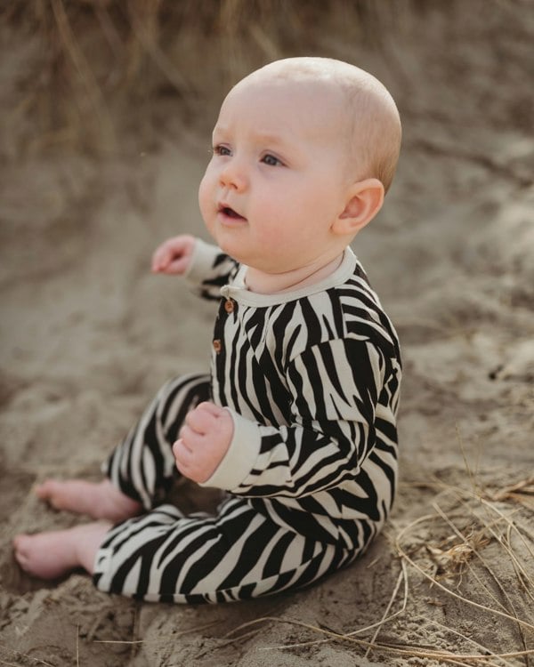 Multicolour Zebra Streak Print Romper - image 3