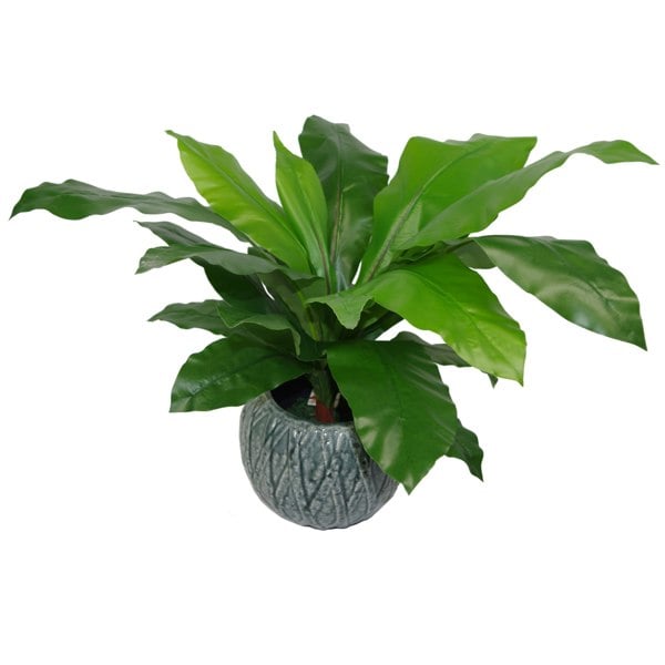 Leaf 60cm Bushy Large Artificial Bird's Nest Fern Plant