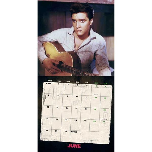 Elvis Presley, Record Collector's Edition Calendar 2027, Wall Calendars, Month To View, Entertainment, Gift