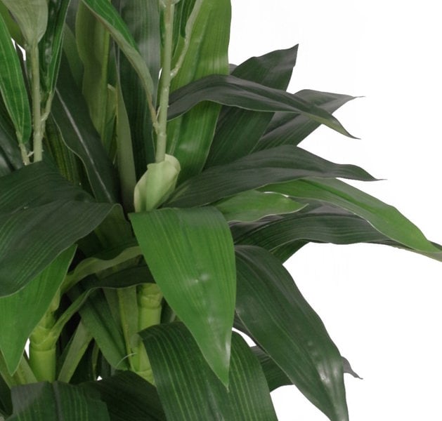 Leaf 100cm Artificial Cymbidium Orchid Plant - Extra Large - White Flowers