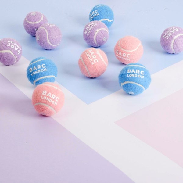 Barc London Blue Mini Dog Ball