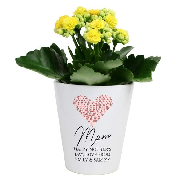 Personalised Memento Company Personalised Heart Plant Pot