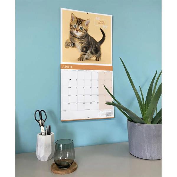 Cute Cats Calendar 2027, Wall Calendars, Month To View, Cats, Gift