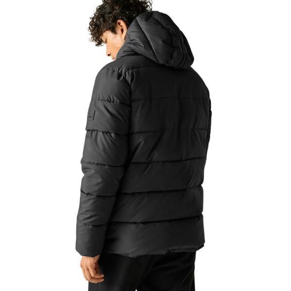 Regatta Mens Layska Padded Jacket - Black - 