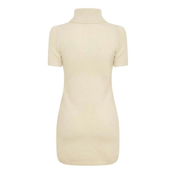 Diesel Womens/Ladies Argaret Turtle Neck Bodycon Mini Dress - Silver Green - 