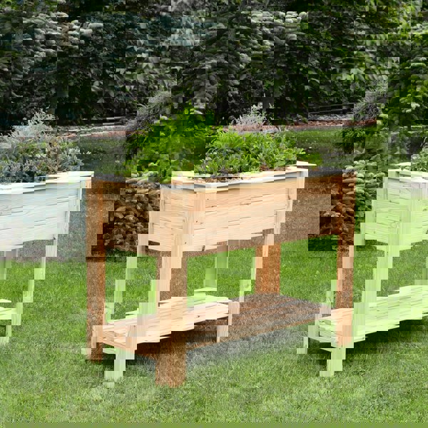 Shire Dan Larch Planter