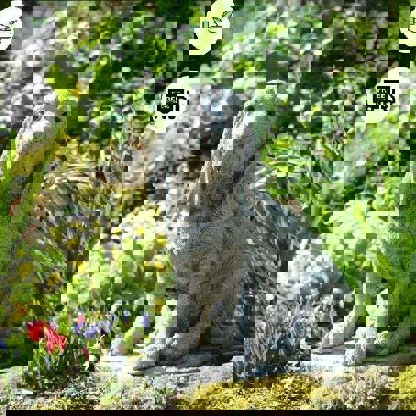 Stone Cast Bloodhound Garden Ornament