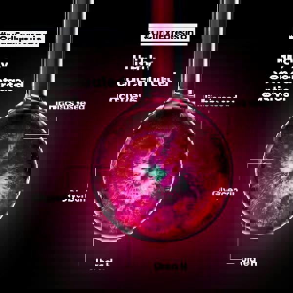 L'Oréal Professionnel Curl Expression 10 in 1 Benefits Mousse 250 ml