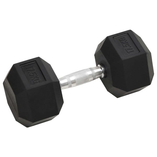 Berkfield Dumbbell 17.5 kg Cast Iron