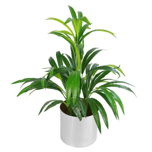 Leaf 65cm Artificial Large Leaf Bamboo Shrub Plant