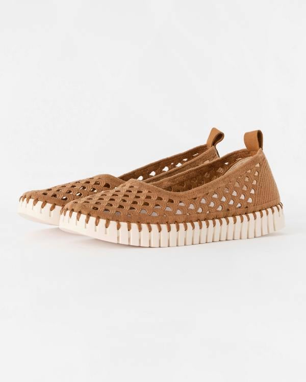 Ilse Jacobsen Tulip Womens Ballerina Shoe - Cashew Pearled Ivory 236111