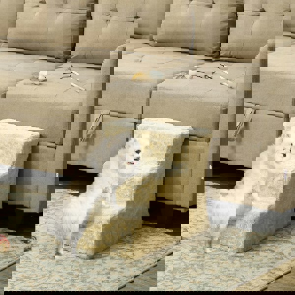 D06-091V01BG