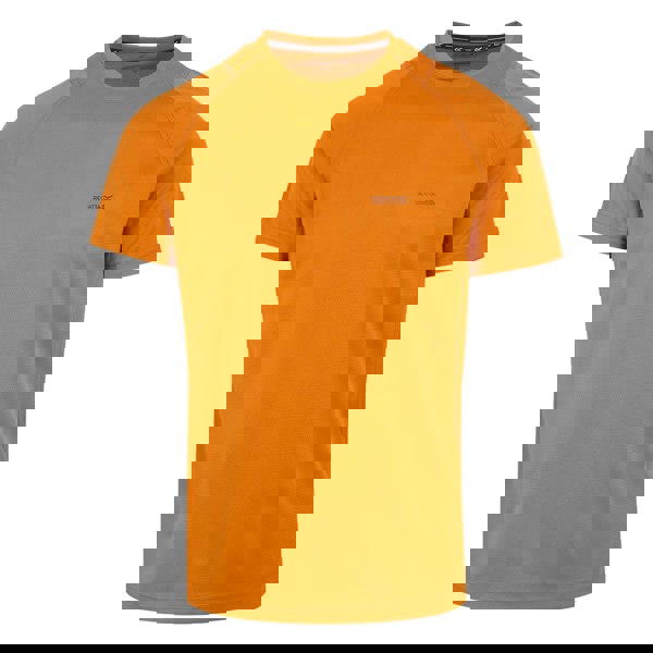 Regatta Mens Virda IV T-Shirt - Fox
