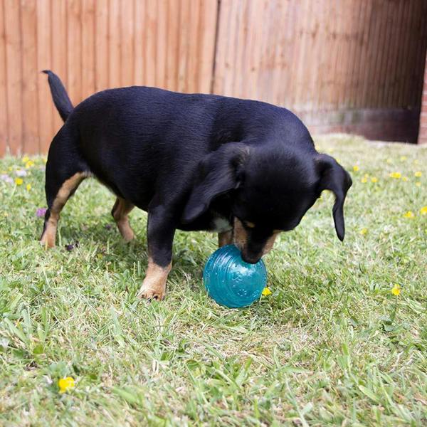 Rosewood BioSafe Ball Toy for Small Dogs