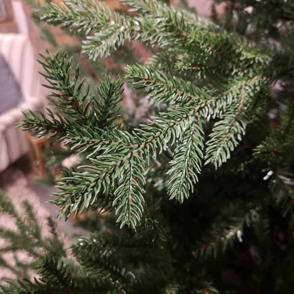 Samuel Alexander 7ft 210cm Green Glenshee Spruce Artificial Christmas Tree PE and PVC Mix Natural Look