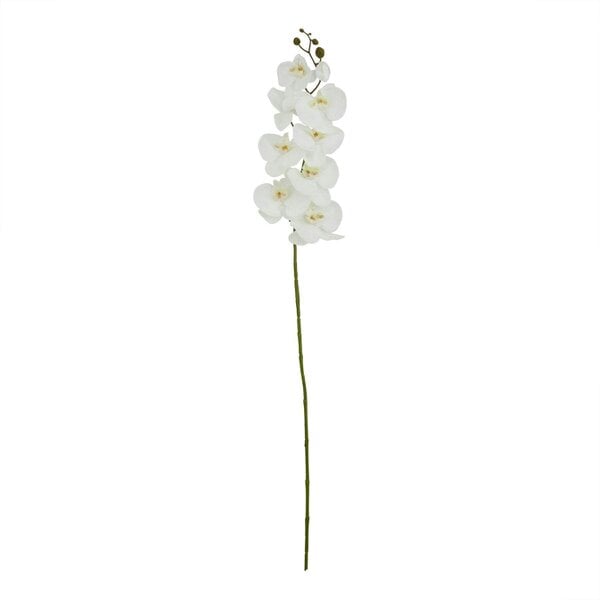 Wyld Haus Set of 3 Artificial Flowers Tall White Butterfly Orchid Stem