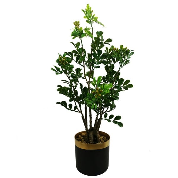 Leaf 60cm Artificial Aglaia Odorata Bonsai Ficus Tree