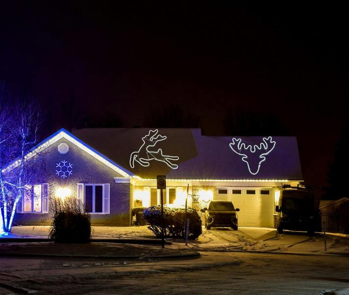 Jumping Reindeer Neon Effect Rope Light Silhouette with 90 Cool White LEDs for Indoor and Outdoor Display image 6