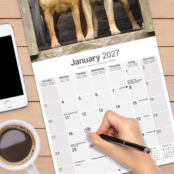 Bullmastiff Calendar 2027, Wall Calendars, Month To View, Dogs, Gift