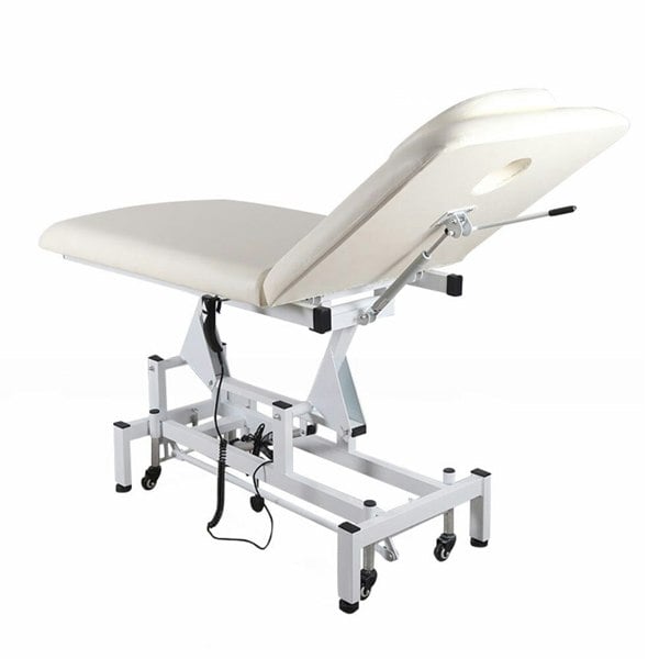 Electric Adjustable Reclining Tattoo Chair - Portable Salon Spa Bed Living and Home