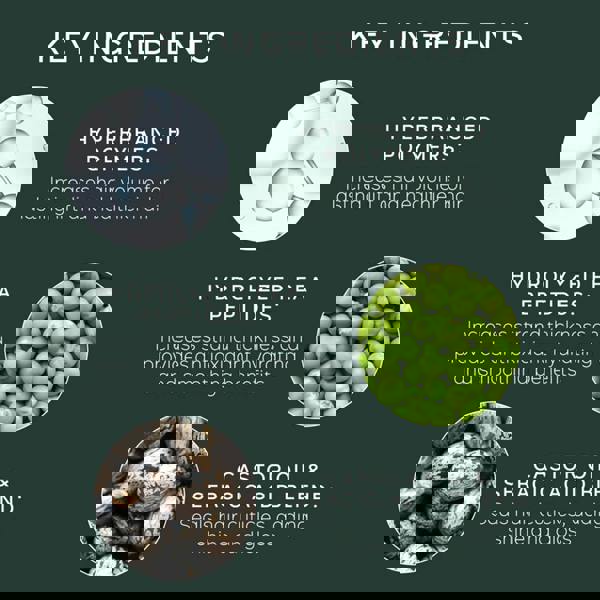 Philip Kingsley Density Conditioner
