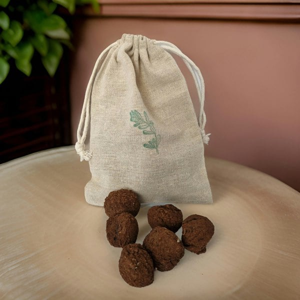 pollinator seed bombs