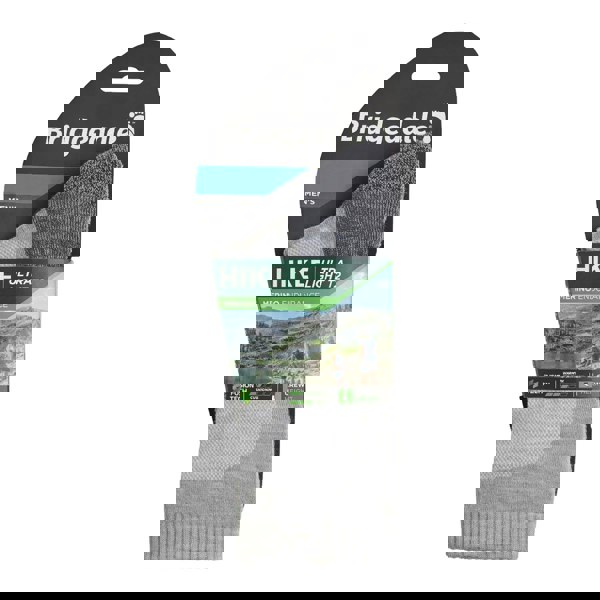 t4option1_1