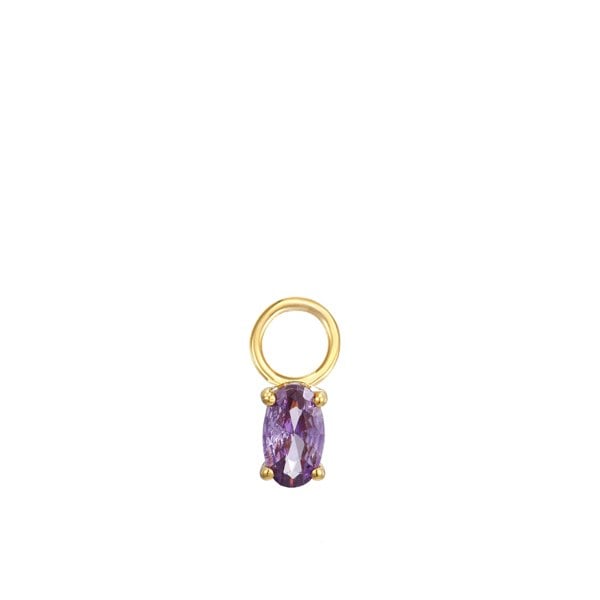 Gold Trip February Birthstone Earring Charm