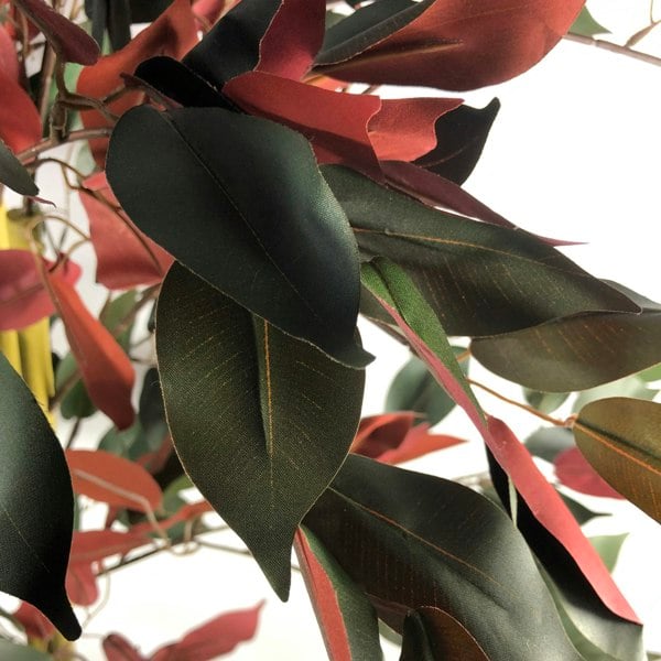 Leaf 120cm (4ft) Artificial Dark Red Green Ficus Plant - Extra Large