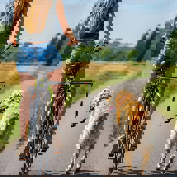 D00-201V00BK