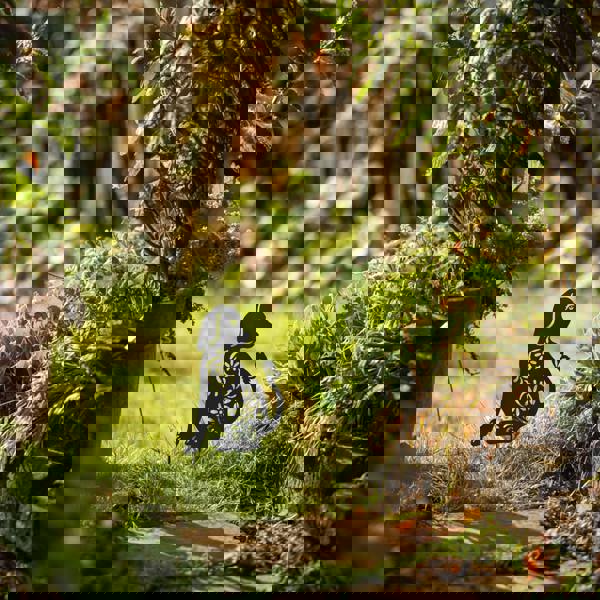 Nicoman Metal Cat and Dog Silhouette Garden Ornament