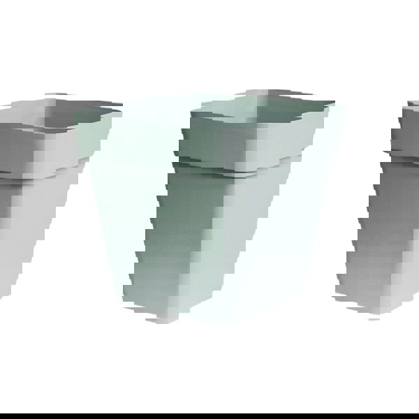 #color_sage