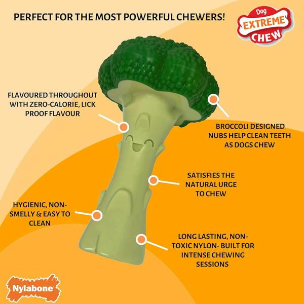 Nylabone Broccoli Dental Chew Dog Toy Large for Extreme Chewers Up To 23kg