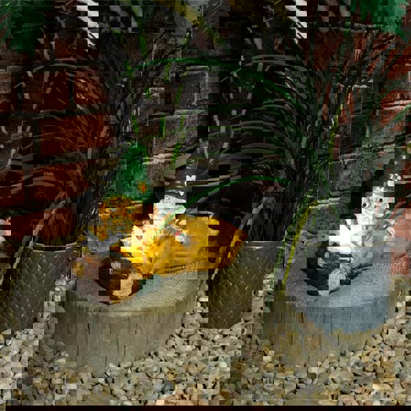 St Helens Female Gnome Lying by a Log