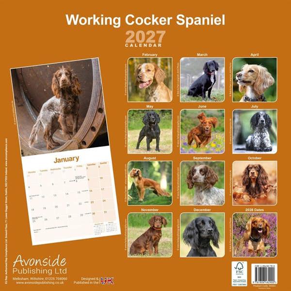 Working Cocker Spaniel Calendar 2027, Wall Calendars, Month To View, Dogs, Gift