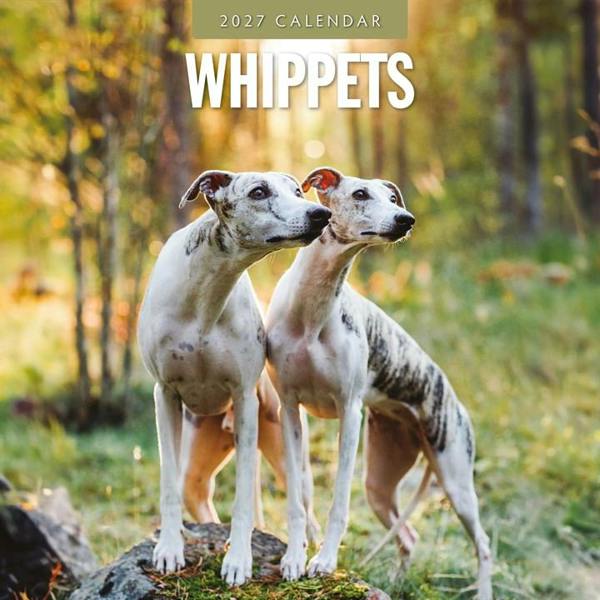 Whippets Calendar 2027, Wall Calendars, Month To View, Dogs, Gift