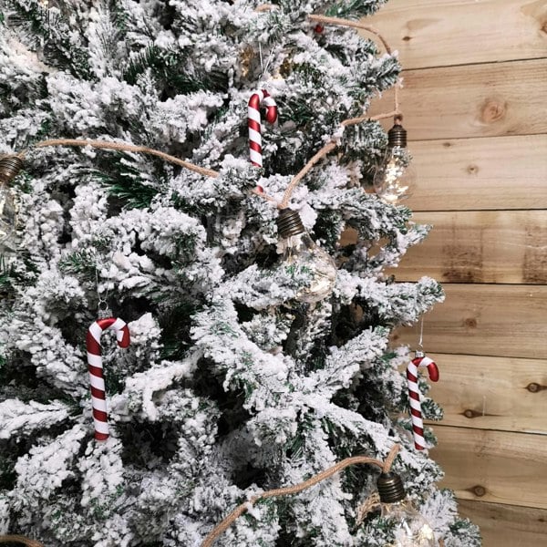 Samuel Alexander Set of 6 12cm Glass Red and White Stripe Candy Cane Christmas Tree Decorations