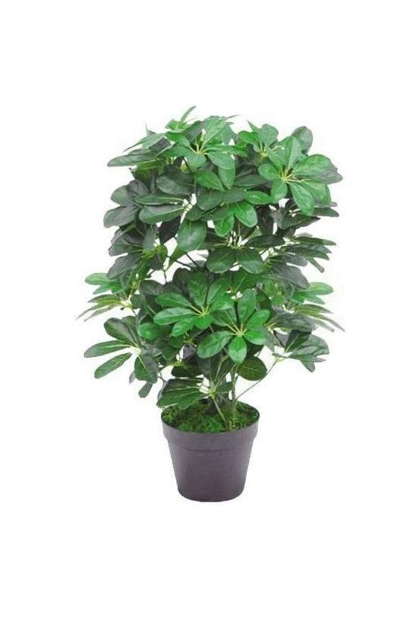 Dyzi Artificial Arboricola Plant 55cm Potted Indoor Decor Green